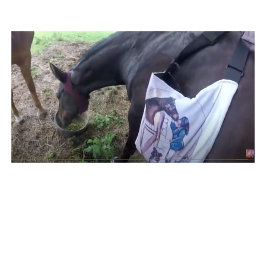 Taza Bicolor ¡Se está divirtiendo tanto!