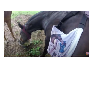 Taza Bicolor ¡Se está divirtiendo tanto!