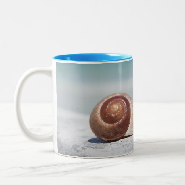 Taza Bicolor Seashell el | St Petersburg, la Florida (Izquierda)