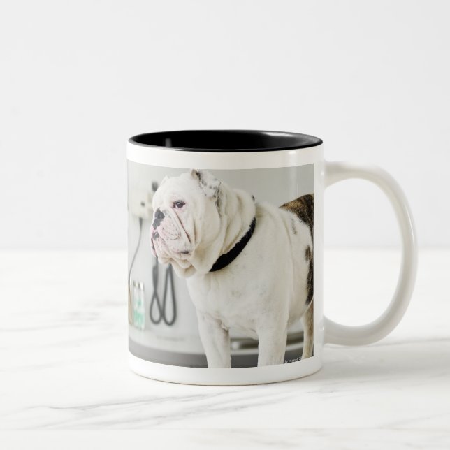 Taza Bicolor Seattle, Washington, los E.E.U.U. (Derecha)