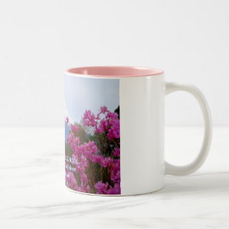 TAZA BICOLOR SECUNDARIA DE YAMATO