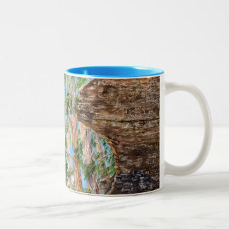 Taza Bicolor Secuoia secuoyas