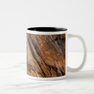 Taza Bicolor Senderismo en el Emerald Pools Trail en Zion Natio