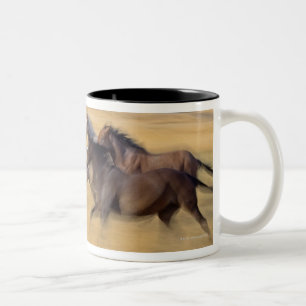 Taza Bicolor Seneca, Oregon, los E.E.U.U.
