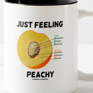 Taza Bicolor Sensación de paz (anatomía de barro)