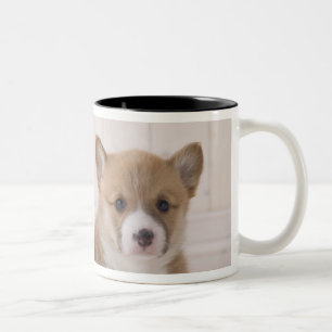 Taza Bicolor Sentada del Corgi de dos Galés