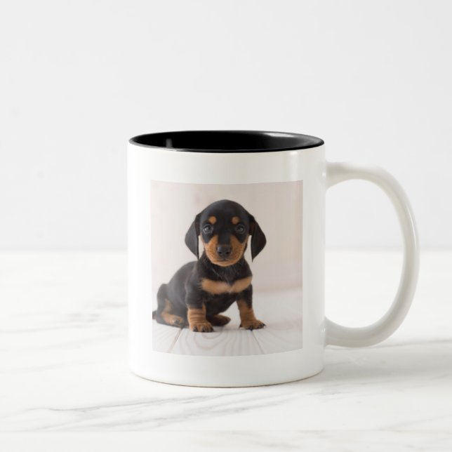 Taza Bicolor Sentada miniatura del Dachshund (Derecha)