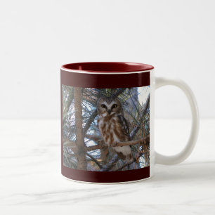 Taza Bicolor Septentrional Sierra-Amole el búho en árbol de