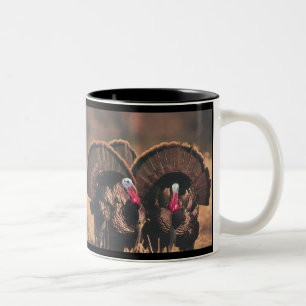 Taza Bicolor Serie de la fauna