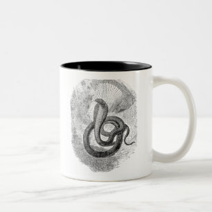 Taza Bicolor Serpiente de Naia Haje del vintage - plantilla del