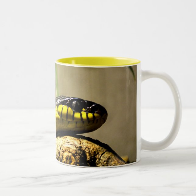 Taza Bicolor Serpiente negra y amarilla (Derecha)