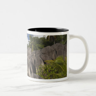 Taza Bicolor Seychelles, isla de La Digue, estado de L'Union