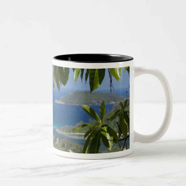 Taza Bicolor Seychelles, Isla de Mahe. Costa occidental de (Derecha)