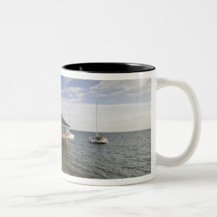 Taza Bicolor Seychelles, Isla de Praslin, Anse Bois de Rose,