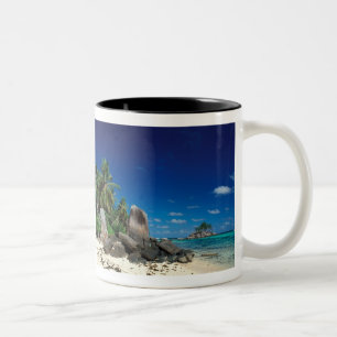 Taza Bicolor Seychelles, Isla Mahe, Playa Anse Royale.
