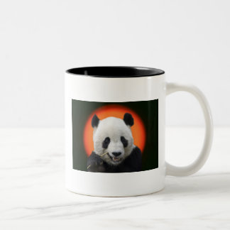 TAZA BICOLOR SHAN DEL TAI