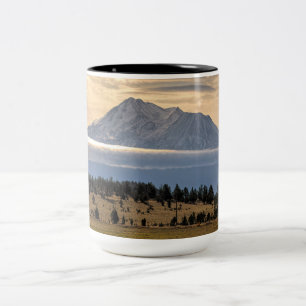 TAZA BICOLOR SHASTA DE MONTAJE