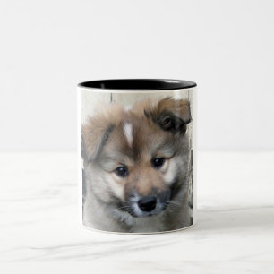 Taza Bicolor Sheepdog islandés 2014-0801