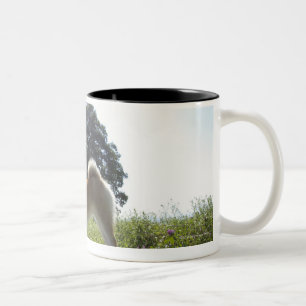 Taza Bicolor Shiba Inu