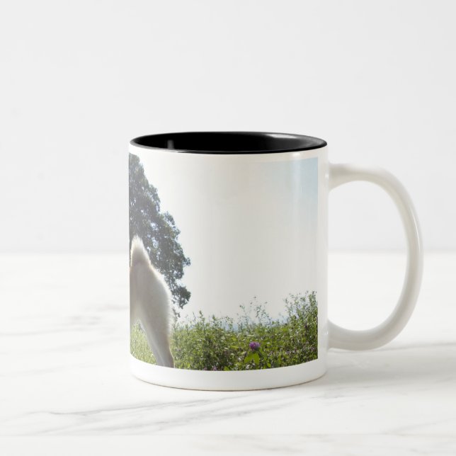 Taza Bicolor Shiba Inu (Derecha)