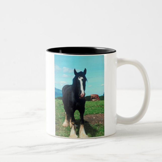 Taza Bicolor Shire en pie (Derecha)