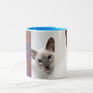 TAZA BICOLOR SIAMÉS