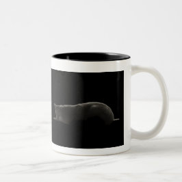 Taza Bicolor Silhouette Cat