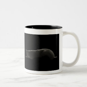 Taza Bicolor Silhouette Cat
