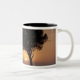 Taza Bicolor Silueta de árbol en la llanura, Masai Mara 2