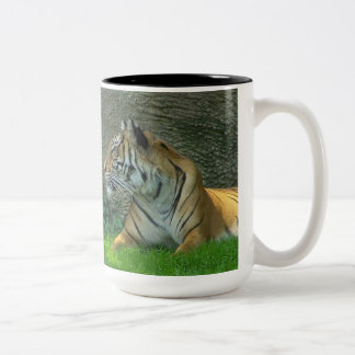 Taza Bicolor Simetría temerosa