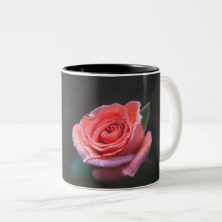 Taza Bicolor Single Pink Rose
