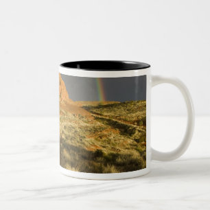 Taza Bicolor Singletrack en Red Cliffs Desert Preserve cerca de
