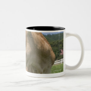 Taza Bicolor Situación del becerro