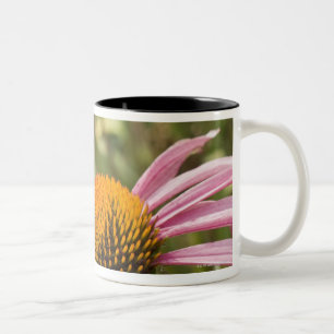 Taza Bicolor sociedad, simbiótico, ayudando, belleza,
