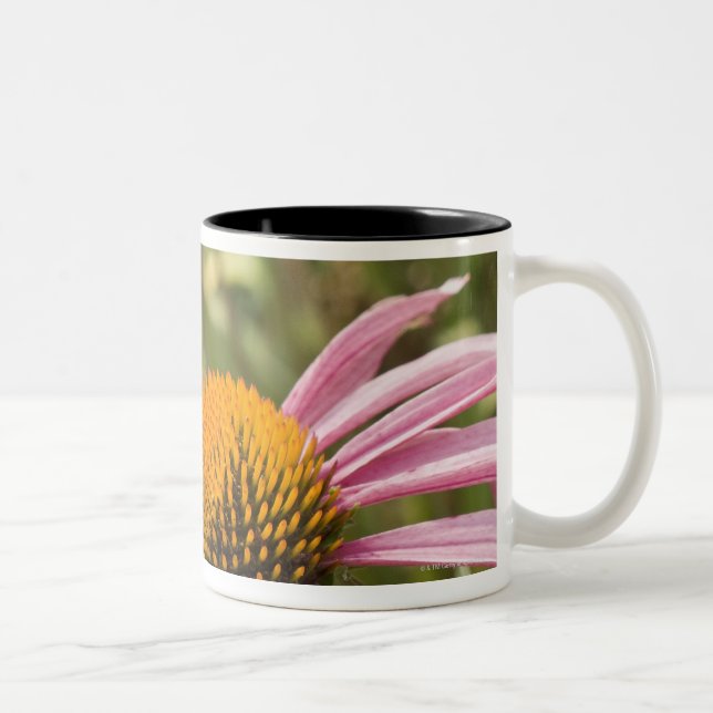 Taza Bicolor sociedad, simbiótico, ayudando, belleza, (Derecha)