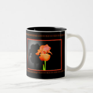 Taza Bicolor Solo iris