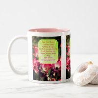 Sólo para hoy las flores de dogwood Inspiradoras