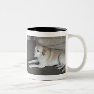 Taza Bicolor Soy BaileyThe PhilosopherI'm…