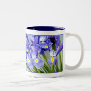 Taza Bicolor Spring Iris Mug