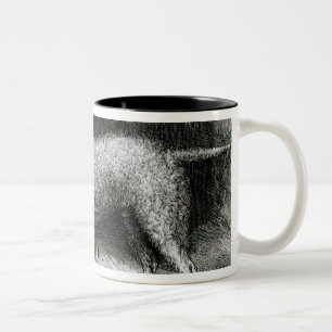 Taza Bicolor Sr. F. Armstrong de los terrieres de Bedlington