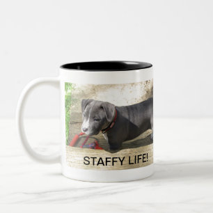 Taza Bicolor Staffordshire bull terrier