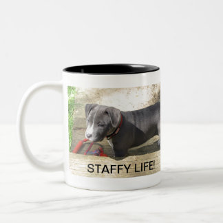 Taza Bicolor Staffordshire bull terrier