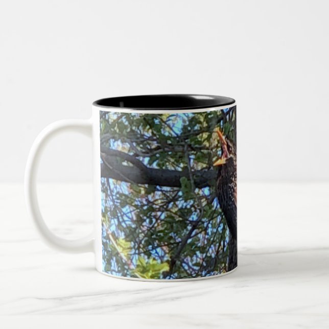 Taza Bicolor Starling Bird Mug (Izquierda)