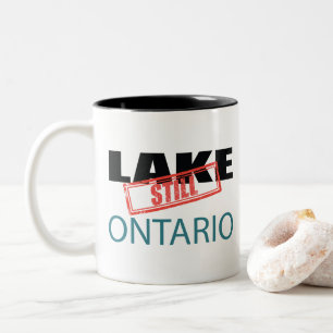 Taza Bicolor Still Lake Ontario Arte de Sello Rojo Vintage