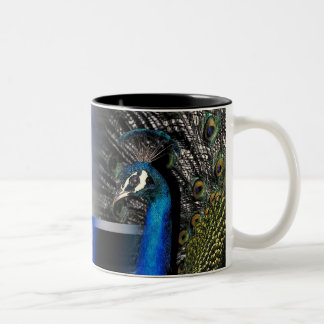 Taza Bicolor Sueños del pavo real