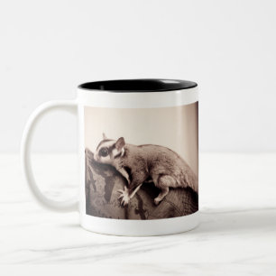 Taza Bicolor Sugar Glider Mug