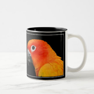 Taza Bicolor Sun Conure