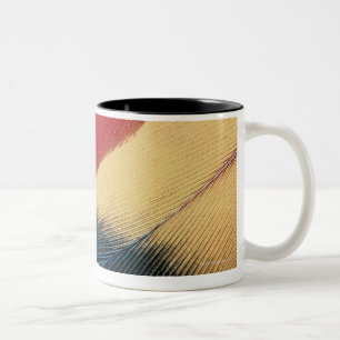 Taza Bicolor Superficie 3 de la pluma