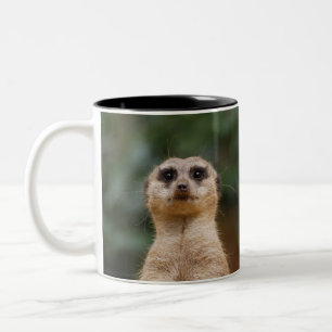 Taza Bicolor Suricata 001