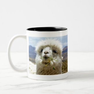 Taza Bicolor Süsses Alpaca